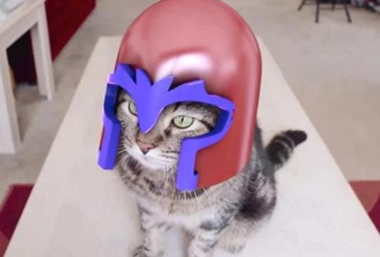 貓咪化身【X戰警】各種超能角色：千萬別餵「萬磁喵」難吃的食物XD